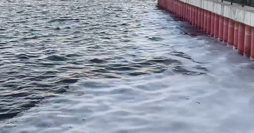 На Волге в Саратове появилась «осенняя» пена